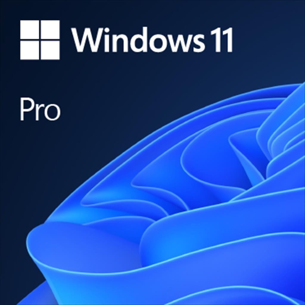 SOFTWARE WINDOWS 11 PRO 64BIT FQC-10528
