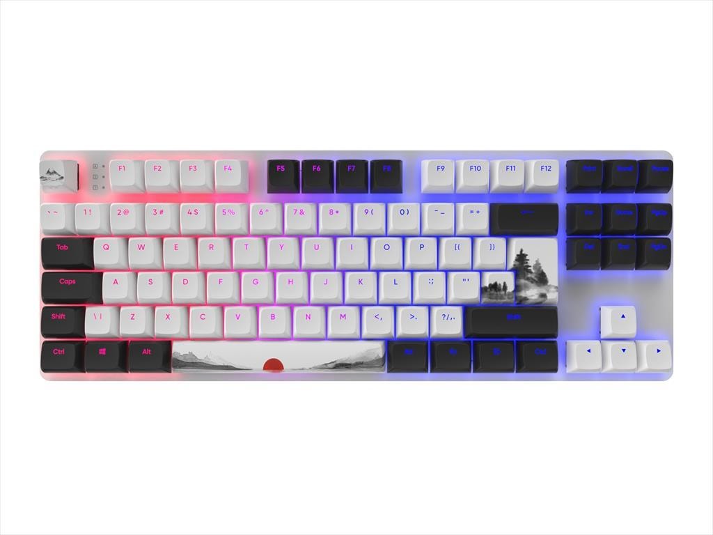 KEYBOARD MECHANICAL DARK PROJECT 87 FUJI TKL RGB linear G3ms Sapphire switch ANSI layout